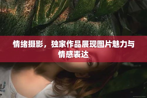 feiniaoyiren 第2页