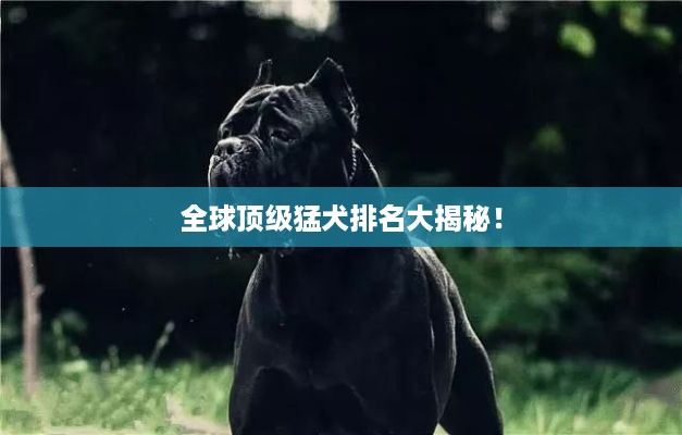 天罗地网 第2页