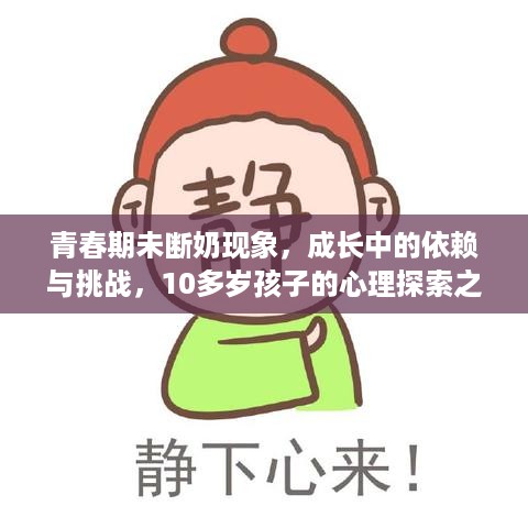 2025年2月6日 第10页
