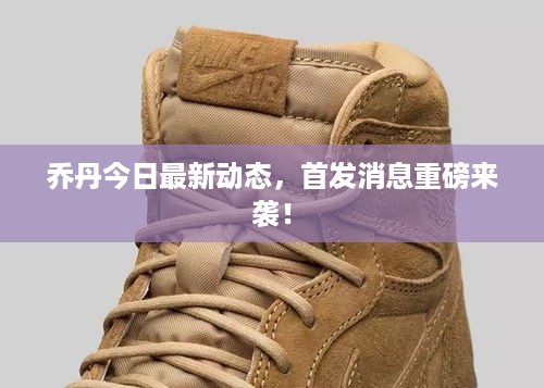 jinshiweikai 第2页