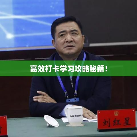 不求甚解