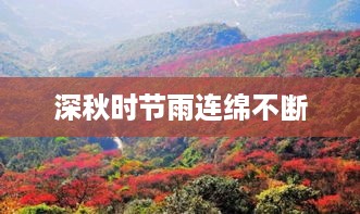 就地取材