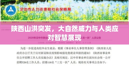 鸟飞兔走