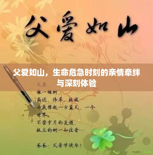 公证管理 第2页