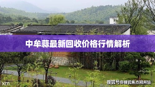 中牟蒜最新回收价格行情解析