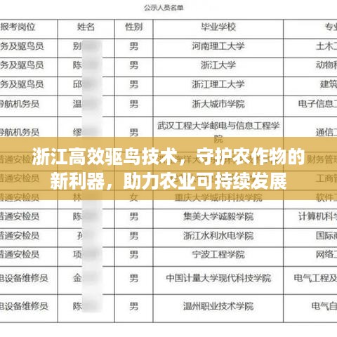 2025年5月 第3页