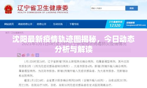 沈阳最新疫情轨迹图揭秘，今日动态分析与解读