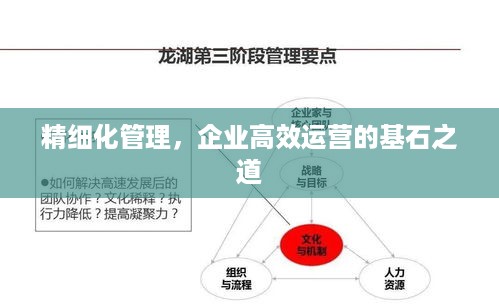 精细化管理，企业高效运营的基石之道