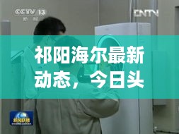 晋惠闻蛙