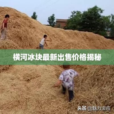 横河冰块最新出售价格揭秘