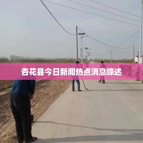 杏花县今日新闻热点消息综述