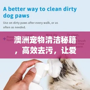 澳洲宠物清洁秘籍，高效去污，让爱宠生活更舒适