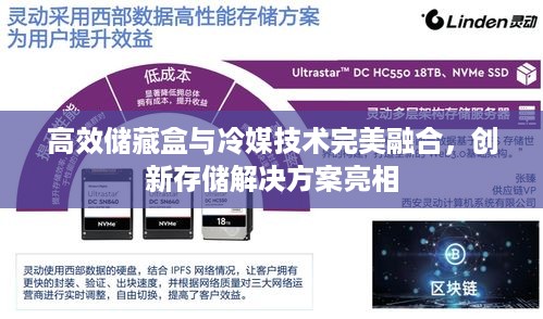 高效储藏盒与冷媒技术完美融合，创新存储解决方案亮相